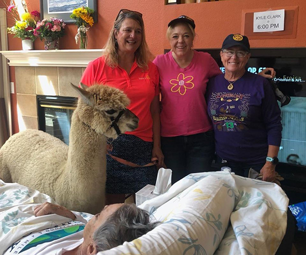 Three Rotary members stand beside an Alpaca as they visit a fourth woman in bed with terminal illness